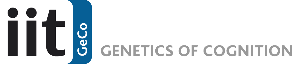 IIT